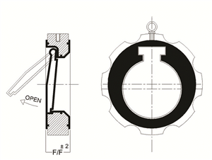 Lined Swing Check(NRV)