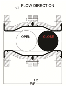 Lined Ball Check Valve